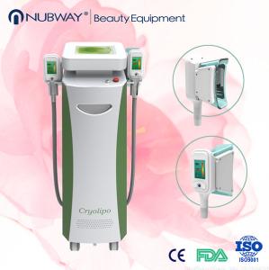 Wholesale professional Cryolipolysis slimming machine/safty cryolipolysis slimming equipment from china suppliers