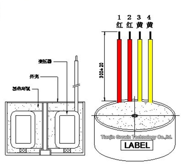 Encapsulated transformer 50hz 30VA toroidal transformer with CE approval for lighting