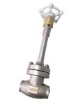 Stainless Steel 304 CF8 DN65 Cryogenic Globe Valve