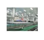 Stainless Steel 304/316 6000BPH Tropical Fruit Juice Pulp Processing Plant for