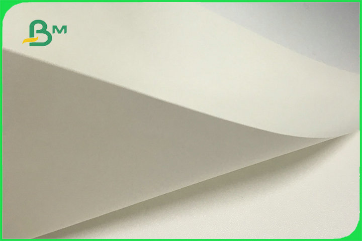 FSC Food Grade UWF Uncoated Woodfree Paper 80gsm to 120gsm OBA Free in Reels
