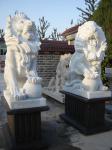 200cm Life Size Customized Lion With Wings Statue , Stone Carving Sculpture