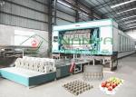 PLC 70mm 30 Holes Egg Tray Pulp Molding Equipment