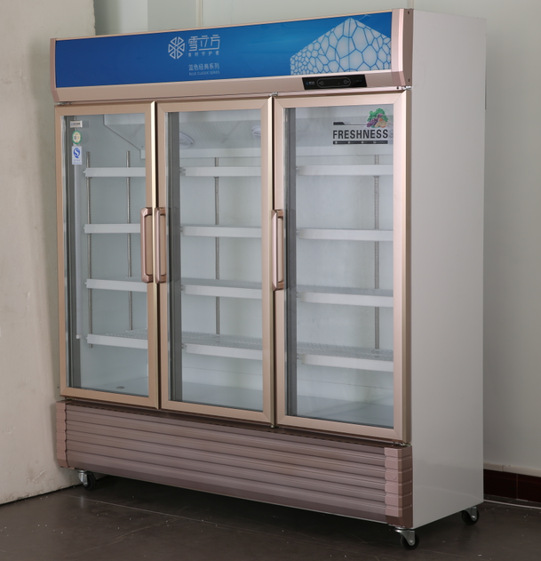 Stainless Steel Beverage Glass Door Display Freezer Refrigerated Cold Beer Drink 3