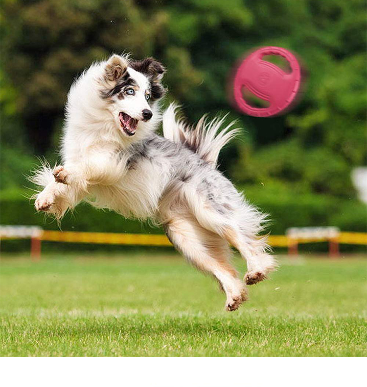 Chengbei Pet Products EVA Pet Toys for Dogs Interactive Movement Chengbei Training Supplies EVA Material