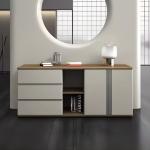 Light Luxury Wind Entry Door Modern Simple Storage Partition Office Furniture