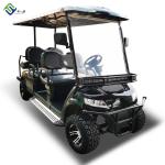 Black Ion NEV Golf Cart Low Speed Car Club Hunting OEM
