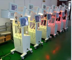 Wholesale SH650-1 Low level Diode Laser hair loss treatment/ ce agreed hair regrowth comb from china suppliers