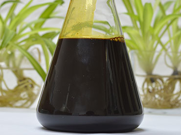 Supercritical CO2 Extraction Cinnamon Oleoresin
