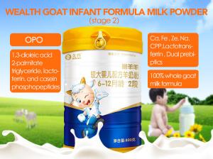Wholesale 12-36 Months Baby Formula Goat Milk Powder Dual Prebiptics Fresh Taste from china suppliers