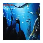 Clear Cast Acrylic Swimming Pool Panel Anti-Uv Plexiglass Sheet for Outdoor Pool