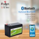 Home Energy 12V LiFePO4 Battery 6Ah 12.8V Lithium Iron Battery Solar System