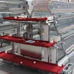 128 Birds A Type Layer Chicken Cage Installation Provide