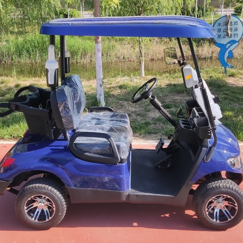 Convenient And Practical 2 Seater Golf Cart With Ample Storage Space Gradeability >20% Lithium Battery