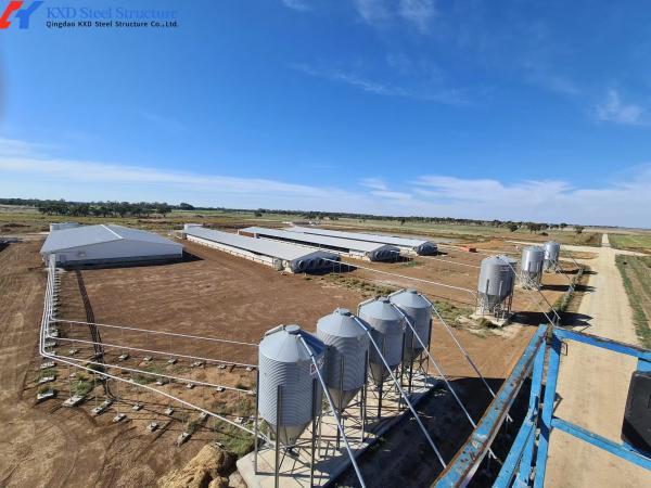 KXD Prefabricated Piggery Shed Steel Structure Metal Goat Barn Onsite Installati
