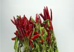 Tianjin Dry Red Chilli Whole Anhydrous Seedless Dried Red Chile Pods