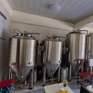 Wholesale 300L Capacity Customized Made Brewery Jacketed Fermenters for Your Brewery from china suppliers