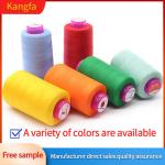OEM/ODM Accepted 100g 20s/2 Polyester Sewing Thread in 1000 Colors for Textile