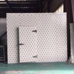 Ice Bag Cold Room Refrigerated Ice Storage Walk In Freezer