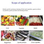 Air Bubble Industrial Fruit And Vegetable Washing Machine 220/380v