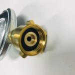 Customized Support Gas Tank Regulator for LPG 1.5 kg/hr Capacity France Market