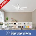 1stshine Ceiling Fan 10 for Motor Easy Clean Black Plastic Blades Remote Control