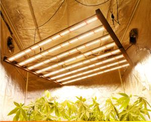 Wholesale Powerful 640W High Output For Medical Plants Flowering Stage Waterproof Grow Light Spectrum from china suppliers