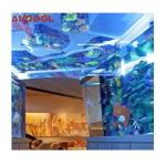 Durable Wall Hung Pipeless Swimming Pool Acrylic Fiberglass Filter for Easy