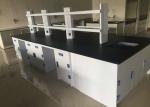 College Steel Chemistry Lab Furniture / Laboratory Workbench With Reagent