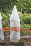 Garden used tomato plastic film cover,high light transmittance solar control