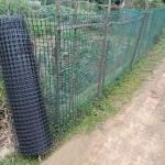 50-100m Plastic PP Biaxial Geogrid Perfect for Civil Engineering Construction 30