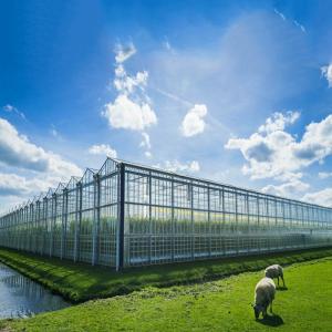 Wholesale Multi Purpose 500KW BIPV Greenhouse Solar System from china suppliers