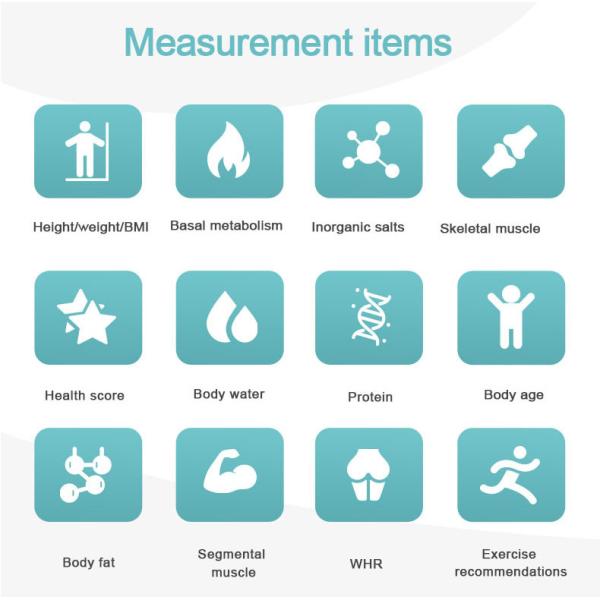Professional Body Composition Analyzer Body Fat Analyzer Machine