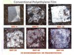eco friendly wholesale cornstarch custom color printed 100% biodegradable