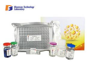 Wholesale Sorbitol Dehydrogenase Sandwich Bovine ELISA Kits 96 Wells Plate ISO Approval from china suppliers