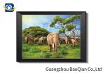 Flip Effect Lenticular Image 40 x 40 cm , 3D Lenticular Printing Pictures