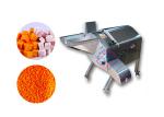 Electric Fruit and Vegetable Dicer Machine Potato Fruit Processing Plant Large