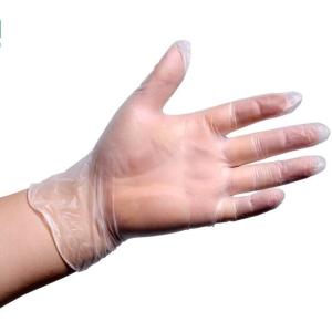 Wholesale Powdered / Powder Free Clear Vinyl Glove , Latex Free Vinyl Gloves Odorless from china suppliers