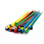 Nylon Label Tie Tape Injection Molds Maker Cable Tie Plastic Injection Mould