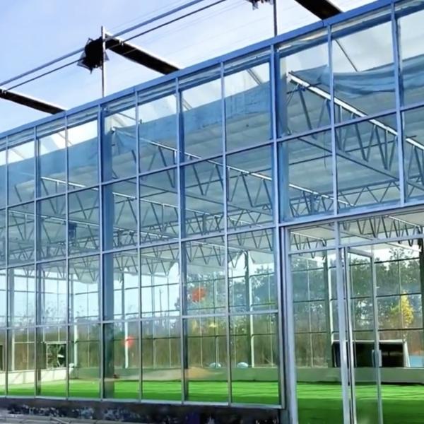Greenhouse for Growing Vegetables and Flowers 50.00cm * 60.00cm * 80.00cm