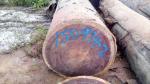 Rot Resistance Purple Heart Logs 905 Kg / M3 3 - 5 Ft Trunk Diameter