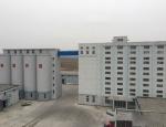 Wheat Flour Mills India 100000 KG Capacity Ideal for Commercial Maize Milling