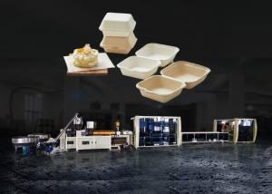 Wholesale Disposable Biodegradable Burger Box Machine Making Full Automatic from china suppliers