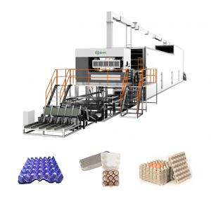 Wholesale Paper Quail Egg Tray Making Machine Fully Automated Egg Box Machine from china suppliers