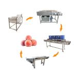 Hot selling Chinese Factory Automatic Fruits Washing And Peel Machine by Huafood