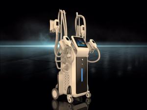 Wholesale fat freezing machine / 4 cryo handles cryo fat reduction / Cryolipolysis fat freeze machine from china suppliers