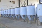 500 KG Conical Beer Fermenter with Heating and Cooling Jacket 1000L Commercial