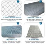 China Manufacture Quality Fence Pvc Coated Welded Mesh Wire Square Hole Wire
