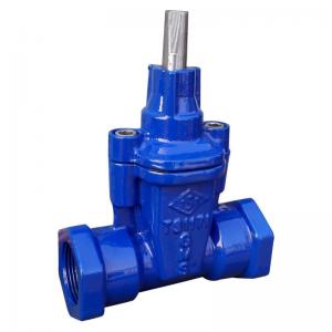Wholesale Ductile Iron Non Rising Stem Gate Valve Blue Screwed Ends Gate Valve from china suppliers