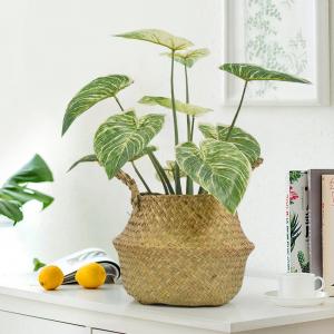 China Ornamental Small Items Artificial Potted Floor Plants Philodendron Birkin on sale